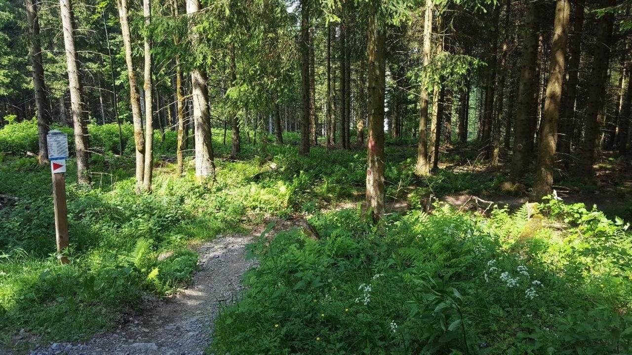 Ferienwohnung Little Home In Winterberg-Neuastenberg 外观 照片